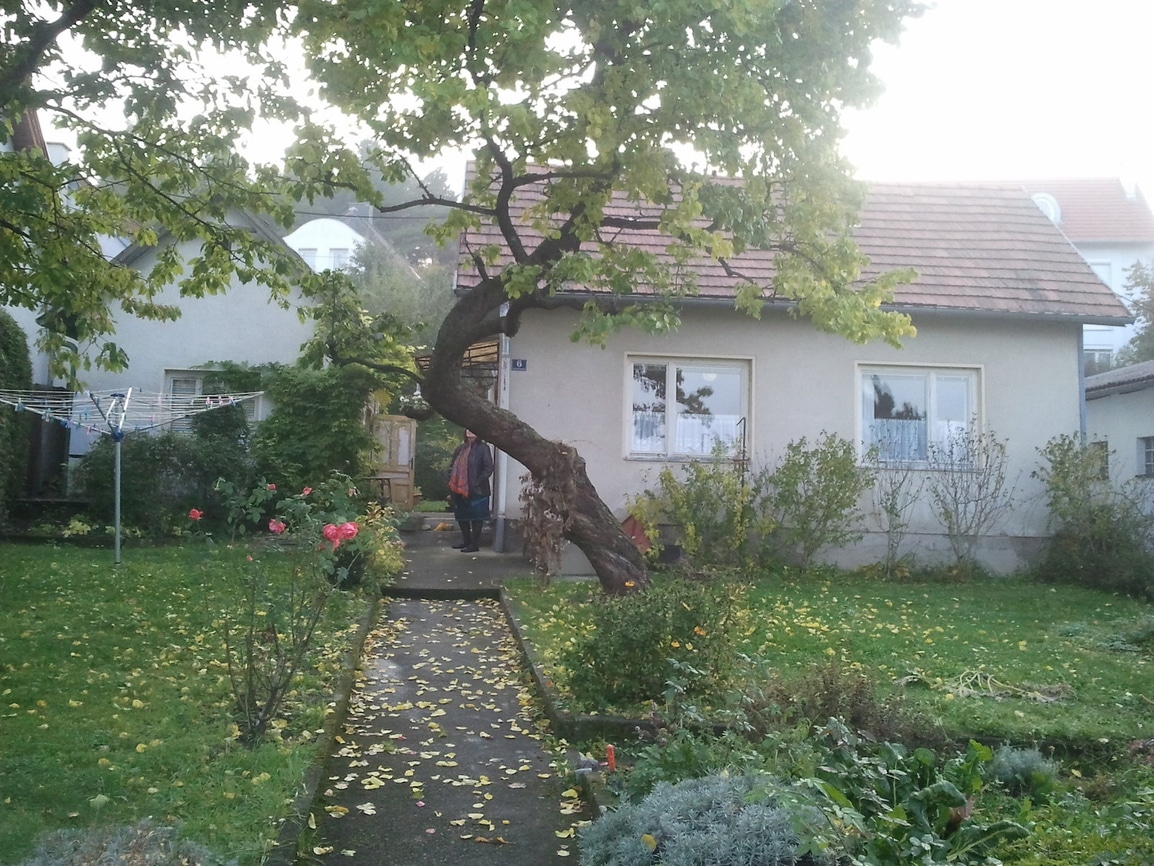 Altbausanierung vorher – WAHA